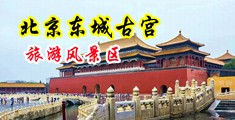 男人的大鸡巴操逼的视频中国北京-东城古宫旅游风景区
